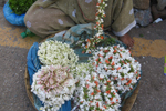 photo of a basket with jasmine flowers
