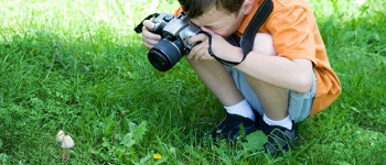picture of a boy taking a photo of mushrooms