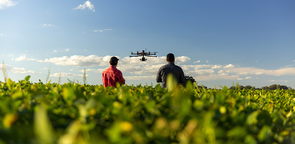 Two people launching a drone over a field.