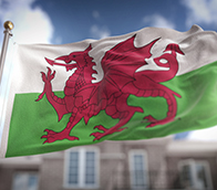 The Welsh flag